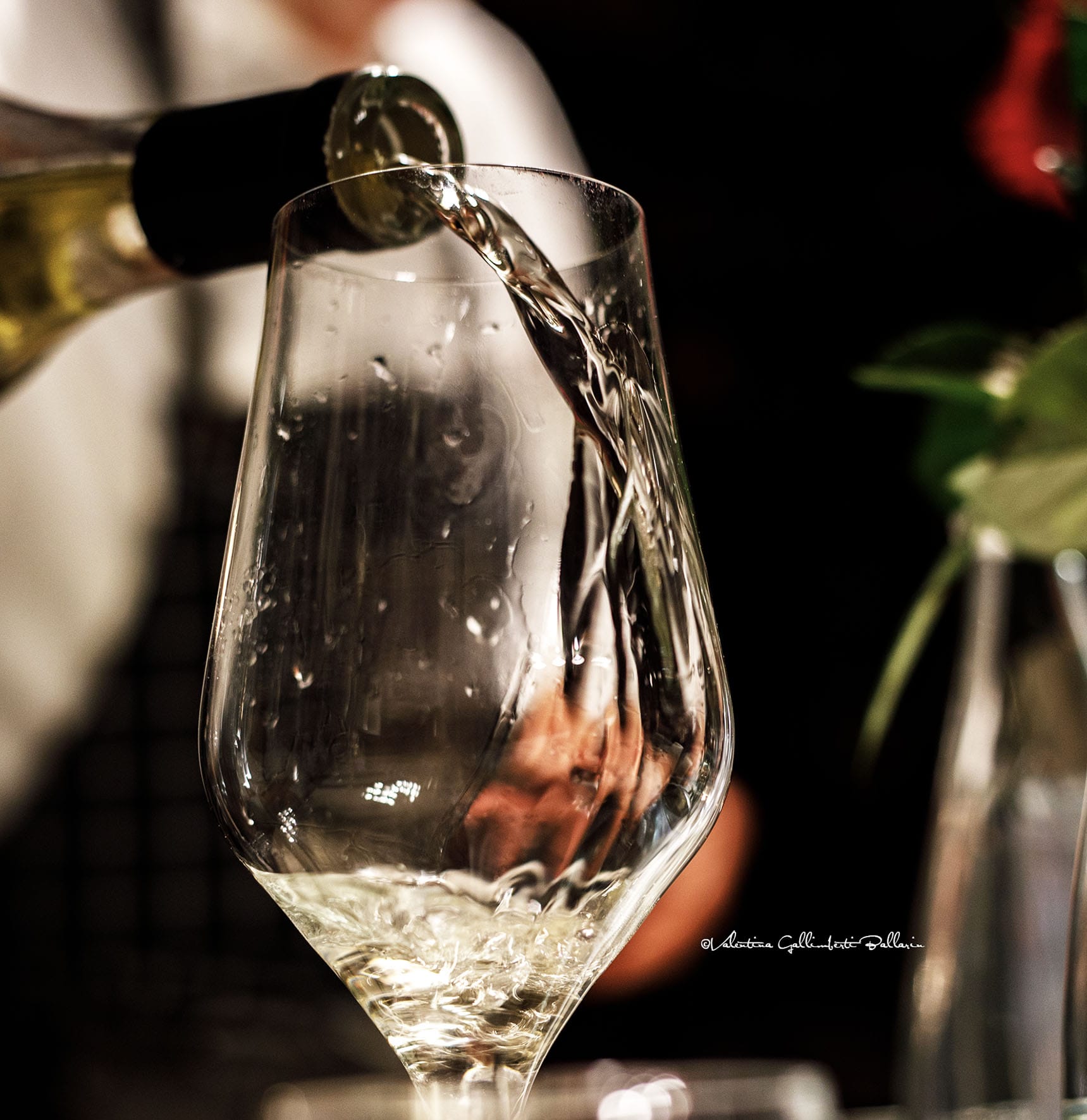 Wine selection